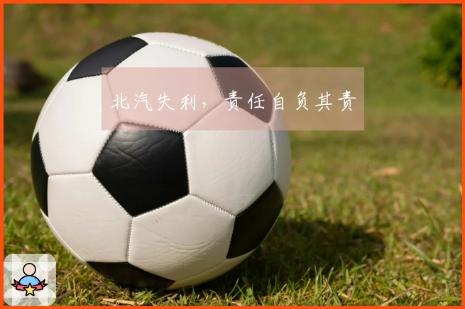 北汽失利，责任自负其责