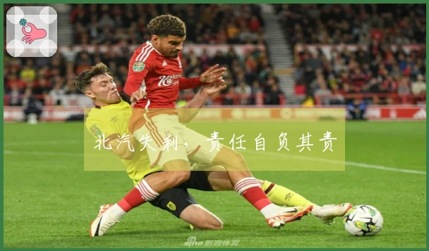 北汽失利，责任自负其责